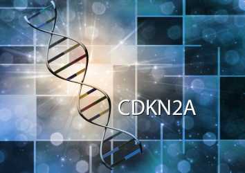 CDKN2A mutasyonu nedir? Melanom ve pankreas kanseri riski ne kadar?