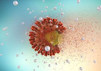 Kazara keşfedilen ve çoğu kanser hücre türünü öldüren yeni bir bağışıklık hücresi