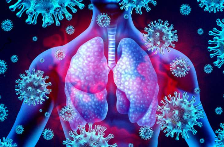 Yeni koronavirüs vücudu nasıl etkiler? Akciğere ve diğer organlara nasıl hasar verir? KORONAVİRÜS POSTERLERİ