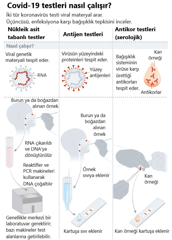hizli korona testi nedir nasil yapilir prof dr mustafa ozdogan