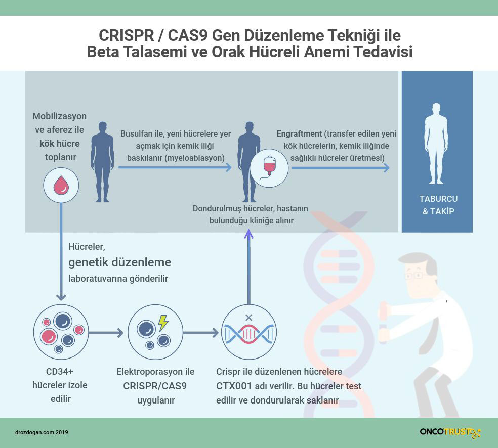 crispr cas9 gen duzenleme teknigi ile beta talasemi ve orak hucreli anemi tedavisi