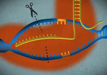 Müjdeli haber: CRISPR ile ilk kez talasemi ve orak hücre anemisi hastaları tedavi edilmeye başlandı