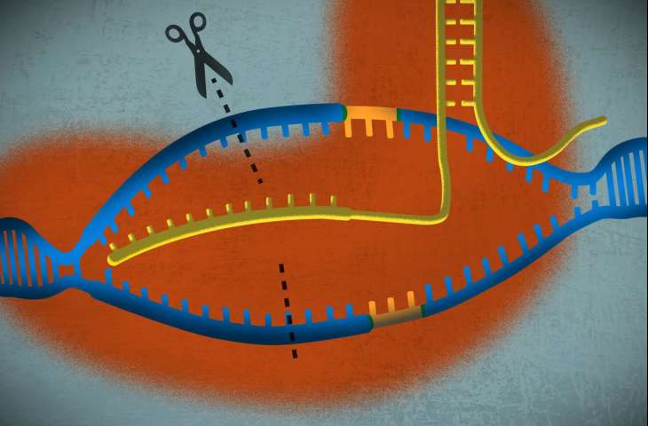 Müjdeli haber: CRISPR ile ilk kez talasemi ve orak hücre anemisi hastaları tedavi edilmeye başlandı