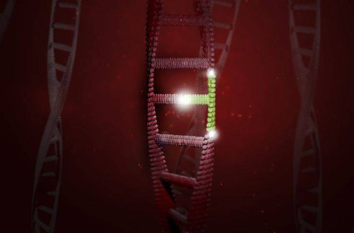 CRISPR ile her bir kanser hücresinin büyümesi takip edilebilecek