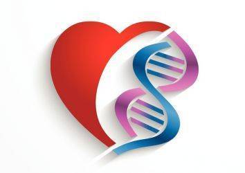 CRISPR ile kalp hastalıkları riski çok önceden belirlenebilecek