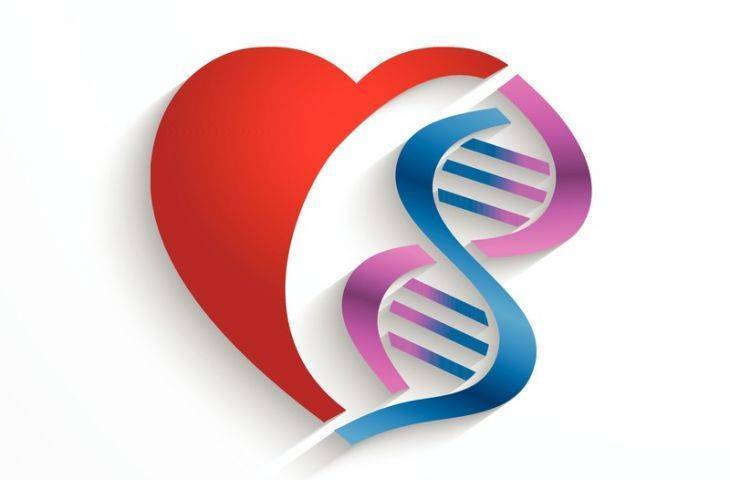 CRISPR ile kalp hastalıkları riski çok önceden belirlenebilecek