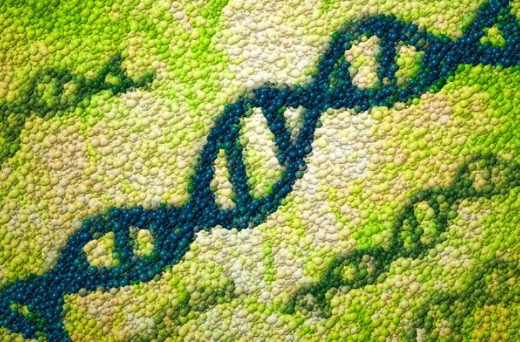 CRISPR ile T hücrelerin kansere karşı neden pasif kaldığı analiz edilip aktifleştirilebilir