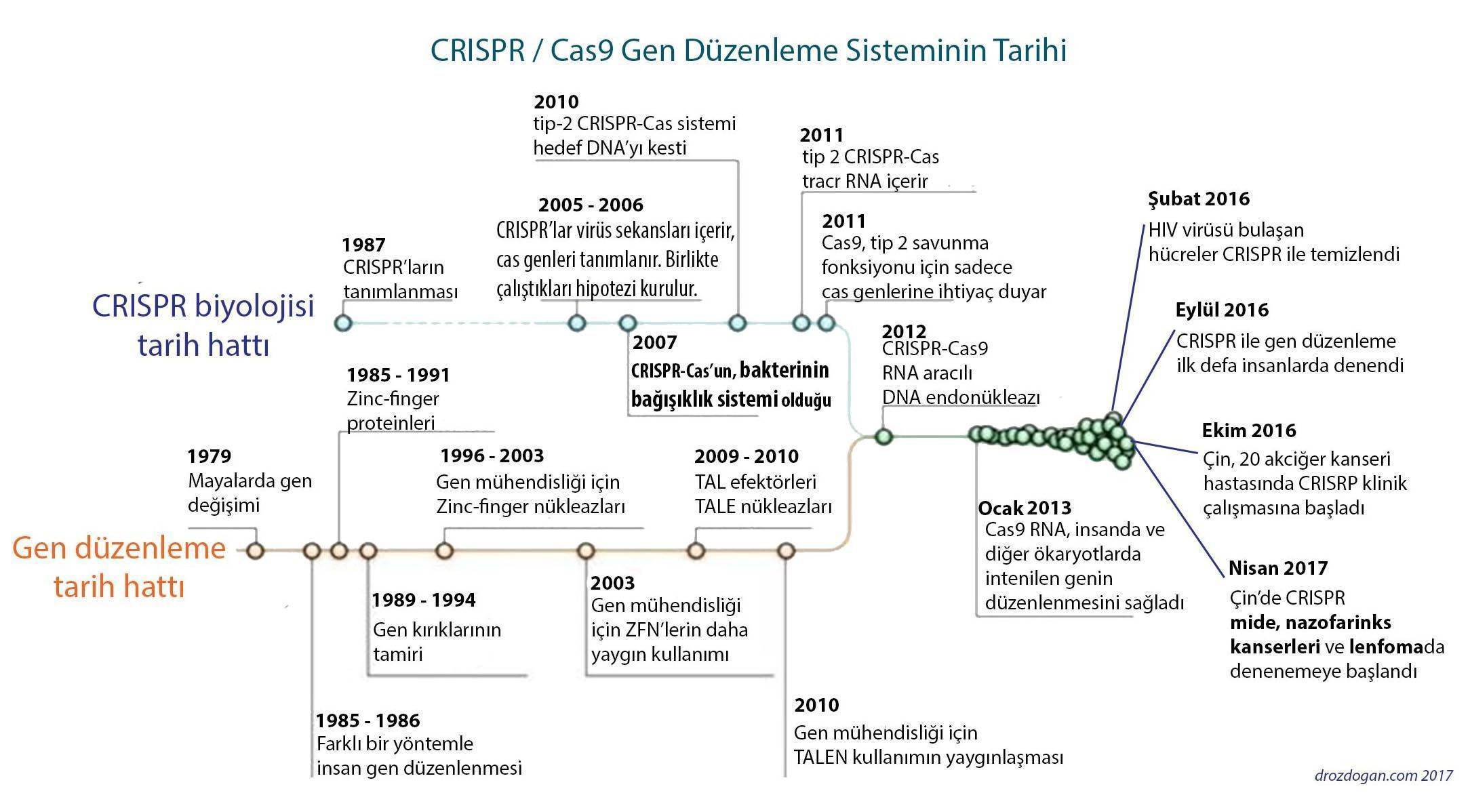 crispr ve kanser tarihi gen duzenleme genom editleme