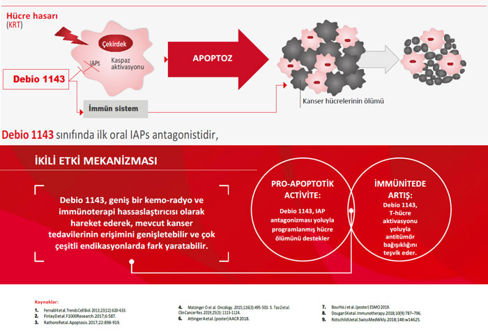 debio 1143 etki ikili mekanizmasi
