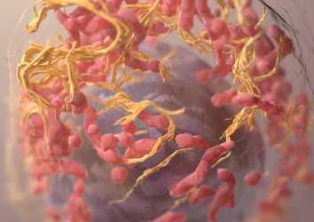 Deri Kanserini Engelleyebilecek mRNA Aşısına Olanak Sağlayan Enzim Keşfedildi