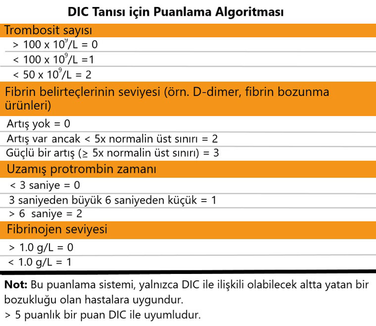 DIC tanısı nasıl konur skorlama algoritması 5 puan