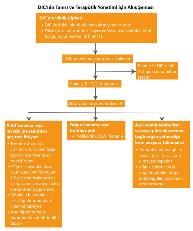 DIC tedavi algoritması nasıl yapılır