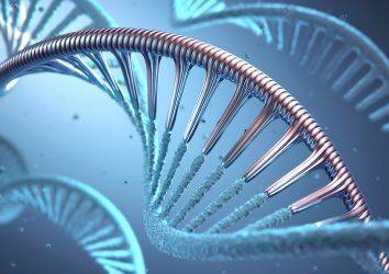 DNA sentezi nedir? Kanser oluşumu açısından önemi
