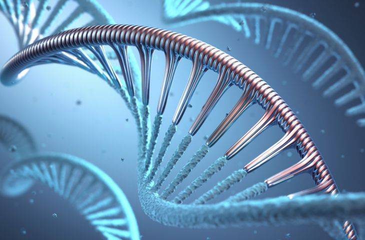 DNA sentezi nedir? Kanser oluşumu açısından önemi