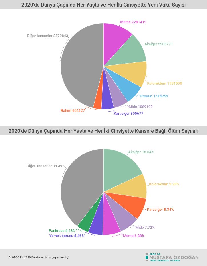 dunya kanser istatistikleri 2020 en sik gorulen kanserler