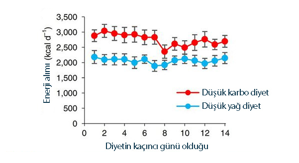 düşük karbonhidrat ve düşük yağlı diyetlerin günlük toplam enerji alımı yönünden kar