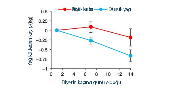 düşük yağlı vs ketojenik diyet yağdan ne kadar kaybettirir
