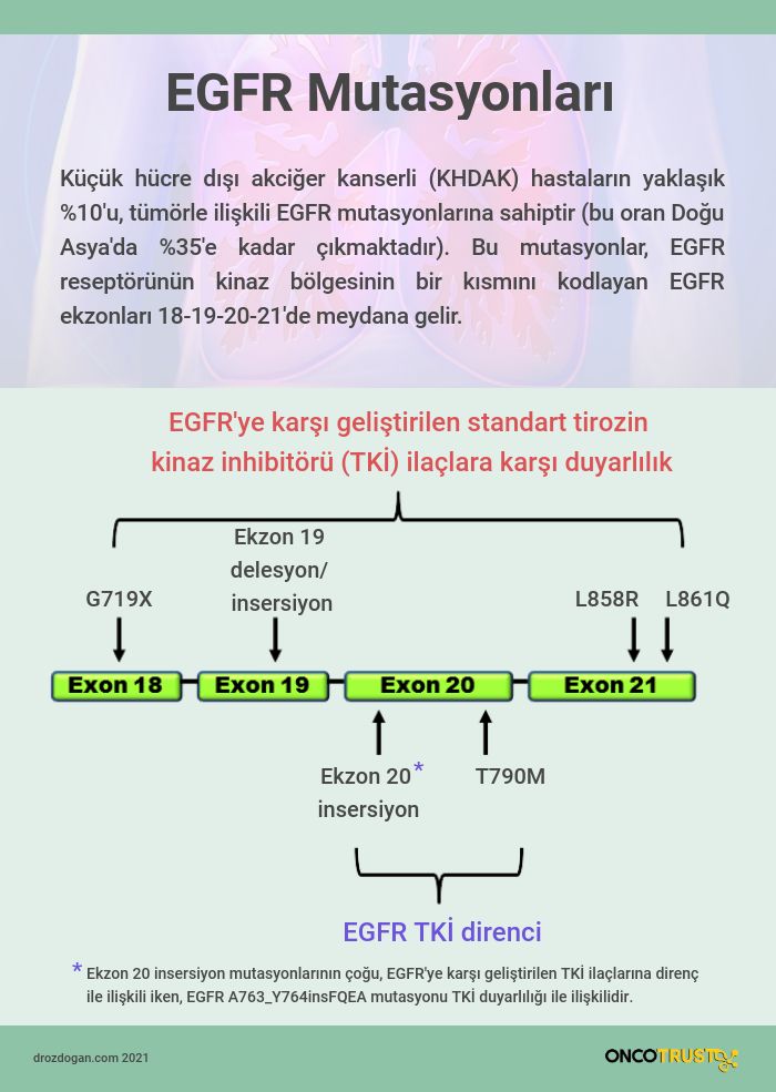 egfr ekzon 20 insersiyo mutasyonu nedir