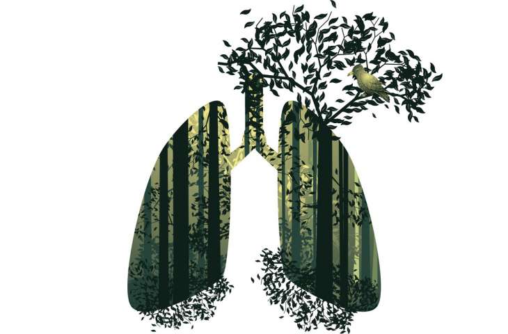 EGFR Mutant Akciğer Kanserinde Metformin ve Tirozin Kinaz İnhibitörü Sağkalımı Uzatır