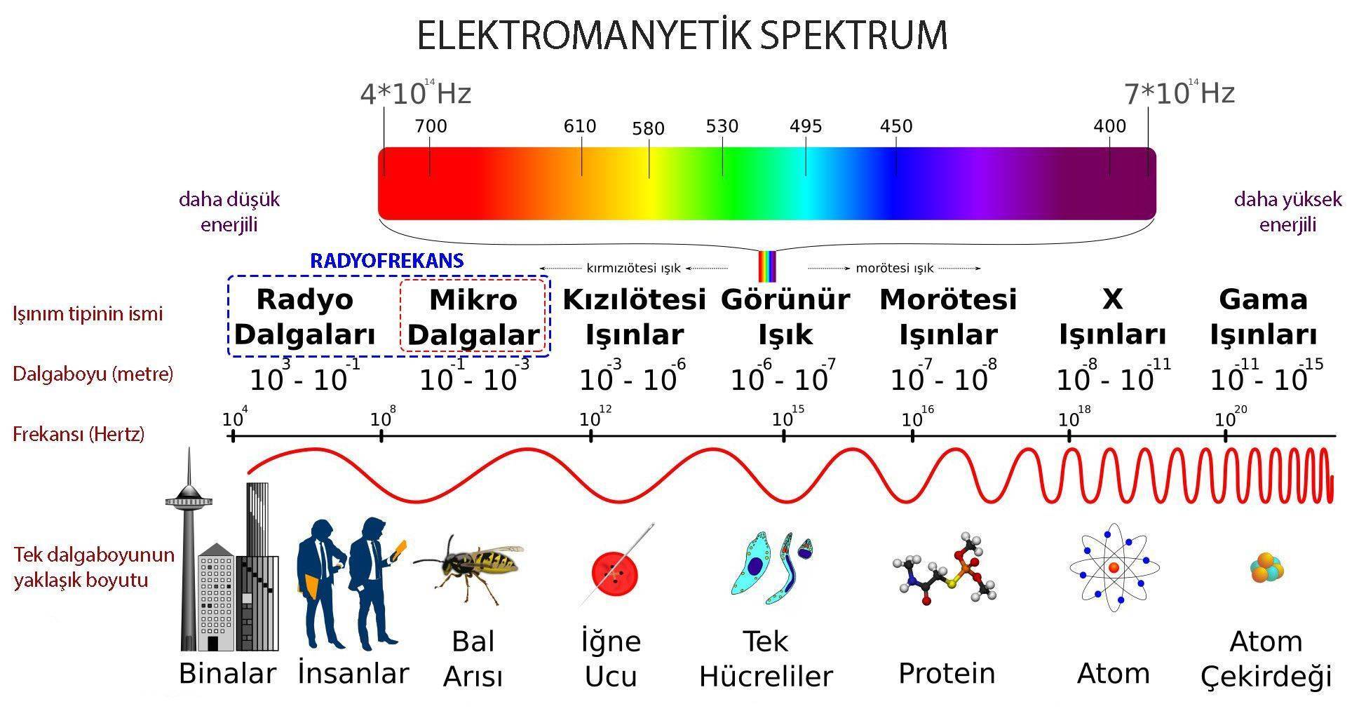 elektromanyetik spektrum radyofrekans dalga boyu mikrodalga