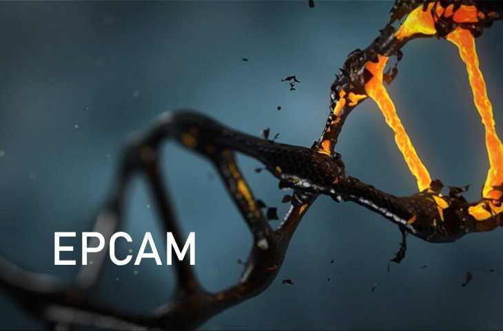 EPCAM mutasyonu nedir? Hangi kanserlerin riskini artırır?