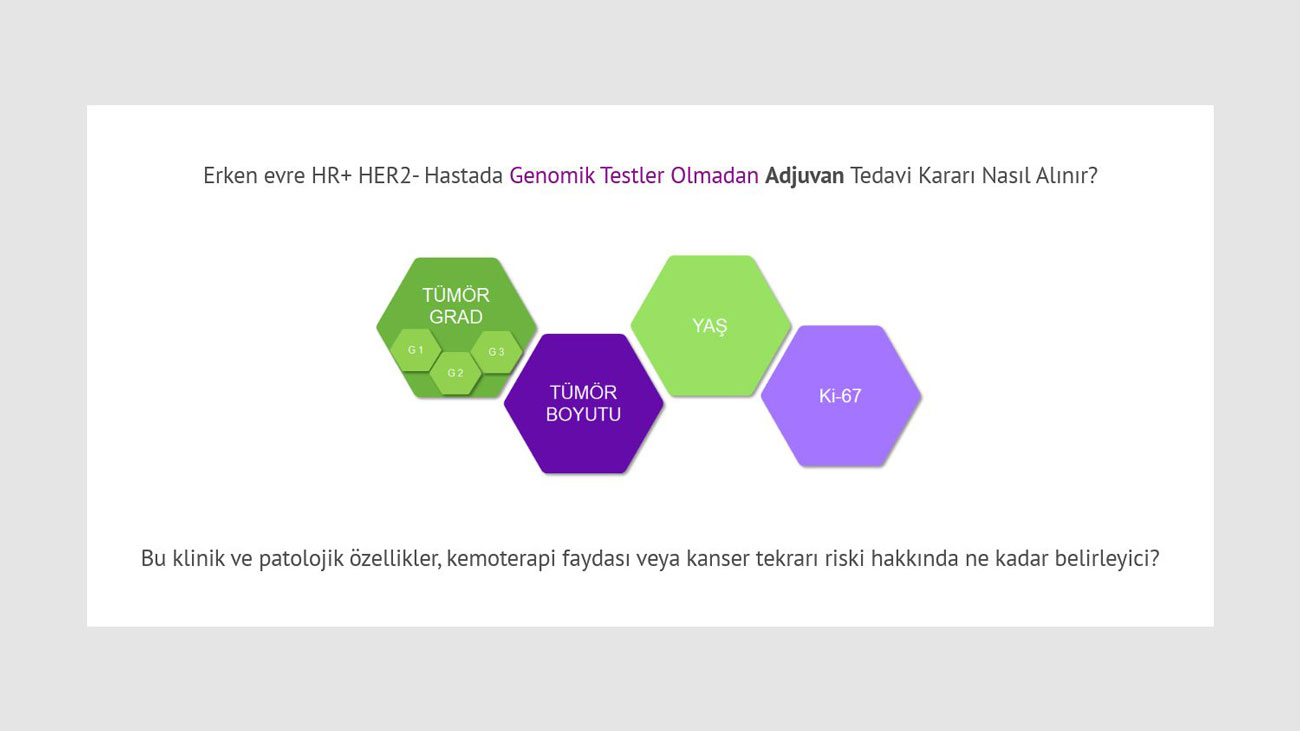 erken evre HR+HER2 hastada genomik testler olmadan adjuvan tedavi karari nasil alinir