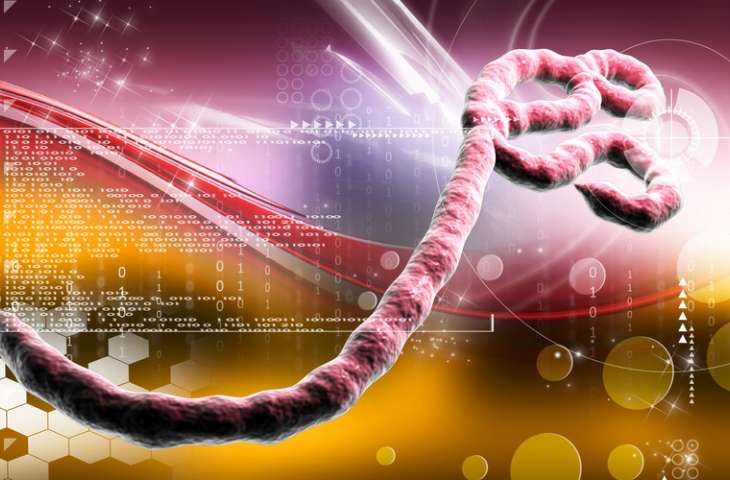 Tıpta önemli gelişme – Ebola için ilk FDA onaylı aşı duyuruldu!