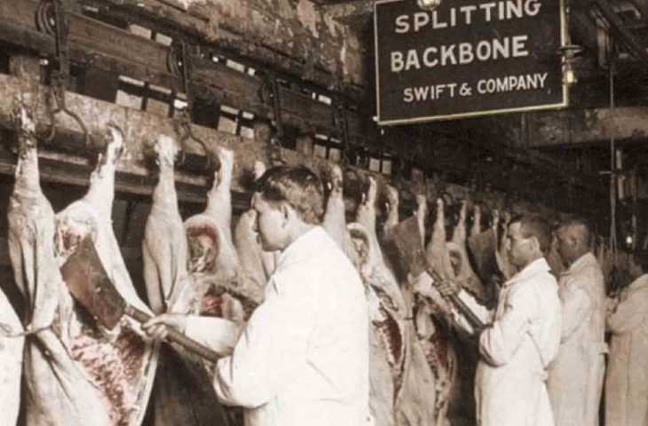 Et Denetleme Yasası 1906 – Hijyenik Mezbahaneler