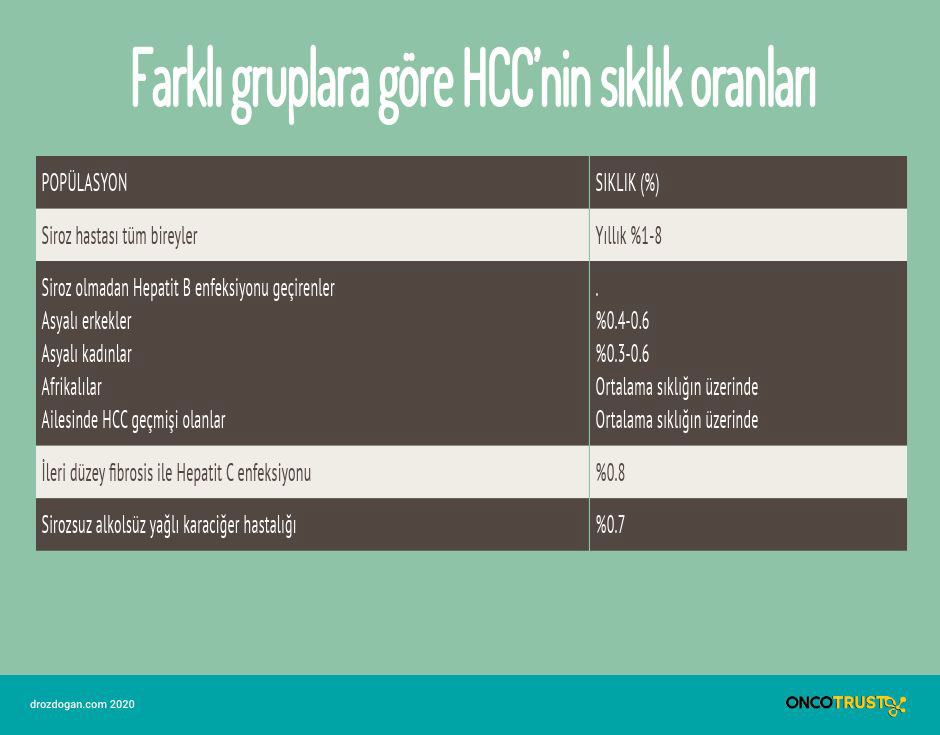farkli gruplara gore hcc nin siklik oranlari