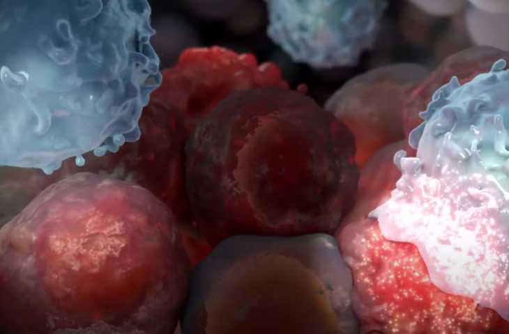 Farklı tümör tiplerinde etkili gözüken kişiselleştirilmiş genomik kanser aşısı
