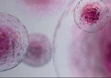 FDA’dan Mide-Bağırsak Sistemi Kanserleri için Doğal Öldürücü Hücre Tedavisine Destek