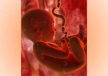 Fetal İzleme 1957 – Anne Karnındaki Bebeğin Tıbbi Takibi