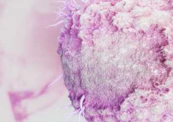 Genetiği Değiştirilmiş Herpes Virüs ile Kanserde Bir Taşla İki Kuş Vurmak