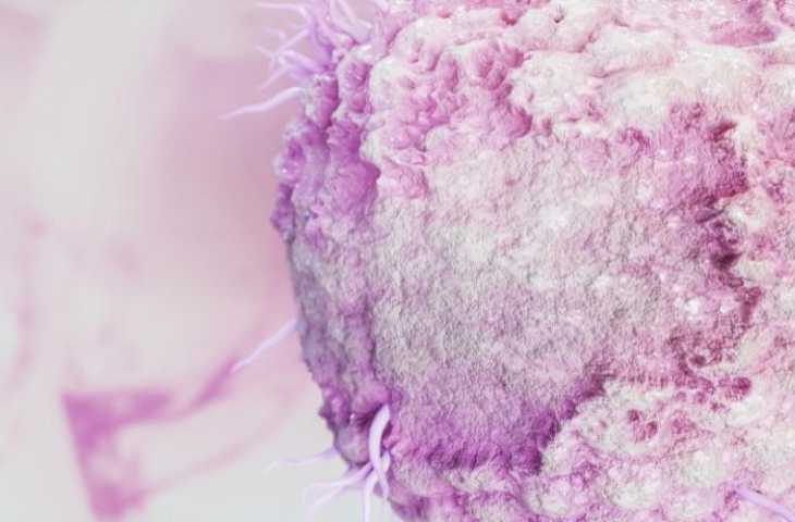 Genetiği Değiştirilmiş Herpes Virüs ile Kanserde Bir Taşla İki Kuş Vurmak