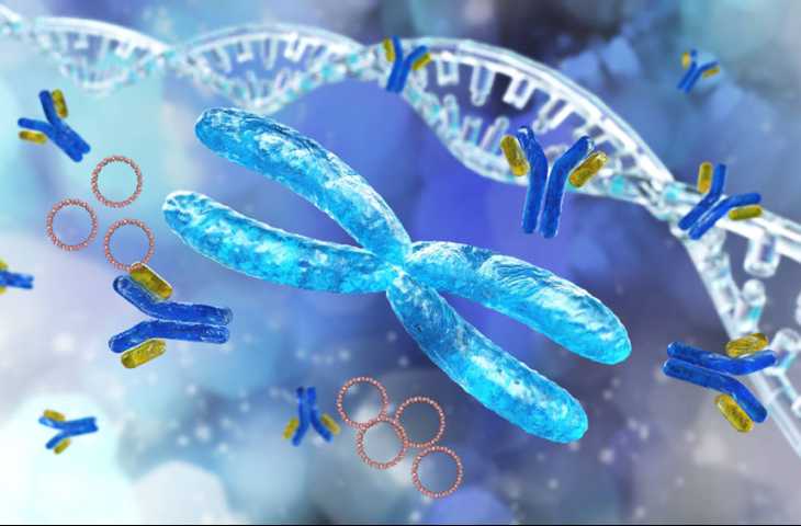 Gizli Ajan Gibi Çalışan Ekstra-kromozomal DNA Keşfiyle Kanser Tedavisinde Ufuklar Açıldı