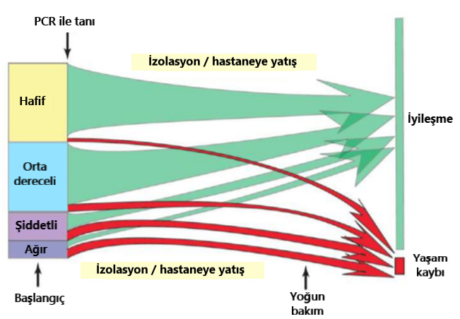 hastaligin derecesine bagli olum ve sagkalim seyri