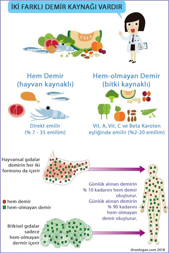 hem ve hem olmayan demir emilimi kaynakları hayvansal bitkisel nedir