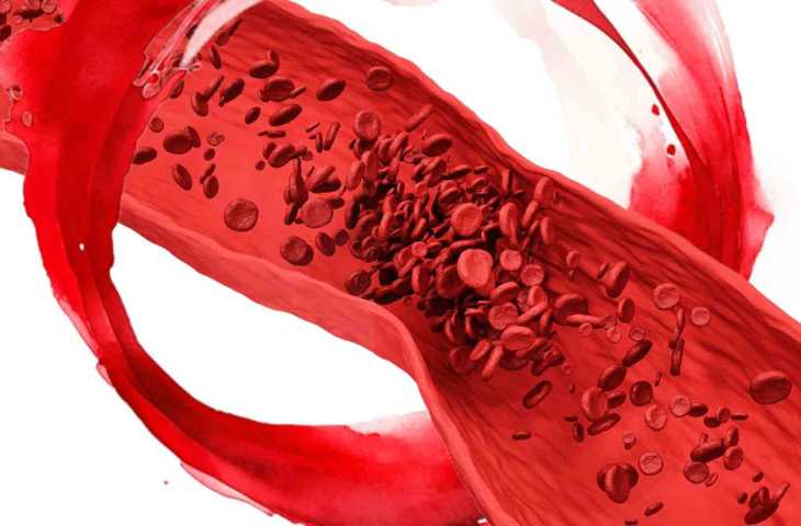 Heparin 1916 – Kanın Pıhtılaşmasını Önlemek
