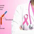 HER2-düşük Meme Kanseri için Trastuzumab Deruxtecan (Enhertu) FDA Onayı Aldı