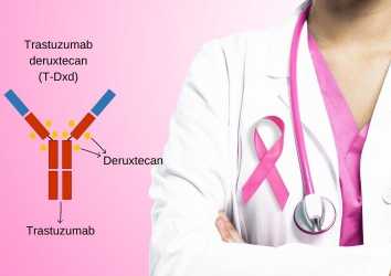 HER2-düşük Meme Kanseri için Trastuzumab Deruxtecan (Enhertu) FDA Onayı Aldı