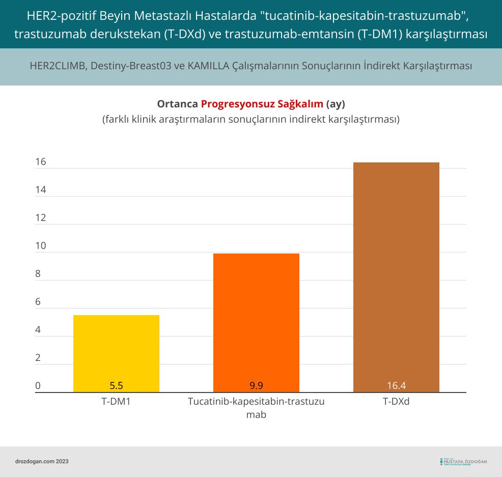 her2 pozitif beyin metastazi olan hastalarda tucatinib kapesitabin trastuzumab trastuzumab derukste