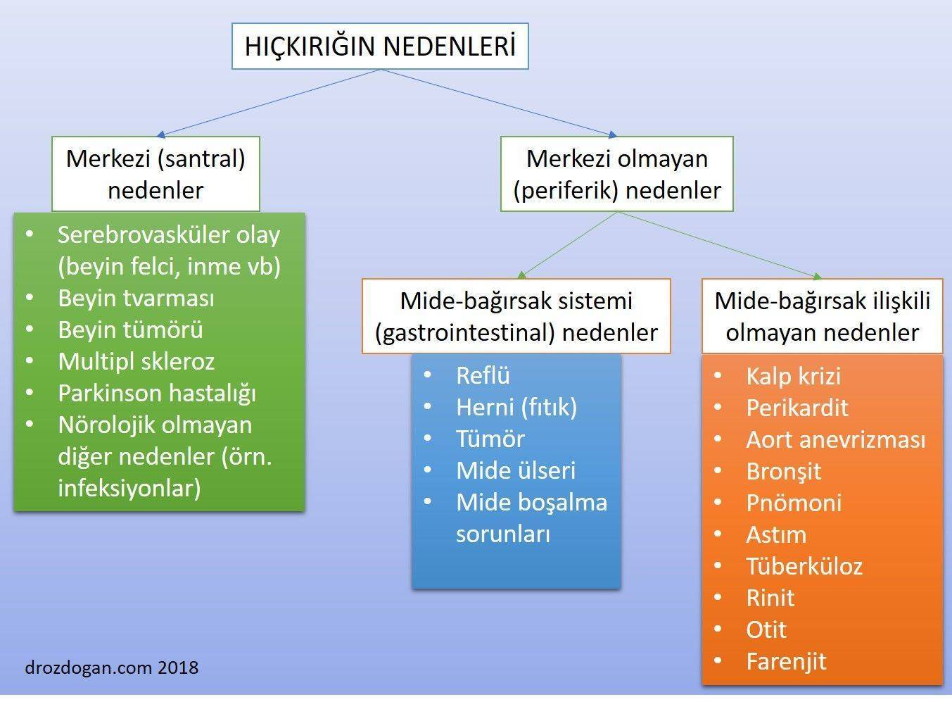 kanserde hickirik neden olur ve nasil tedavi edilir prof dr mustafa ozdogan