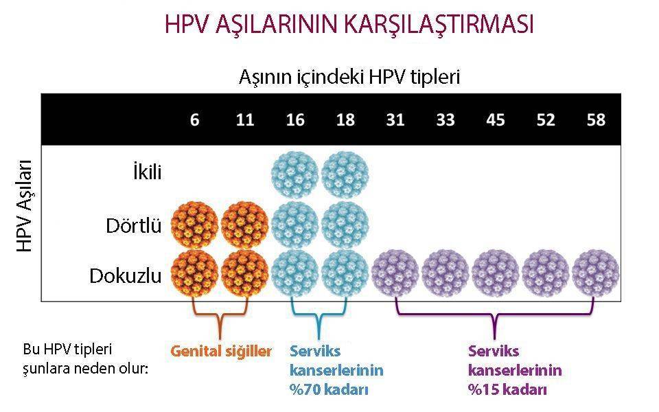 gardasil hpv fiyati)