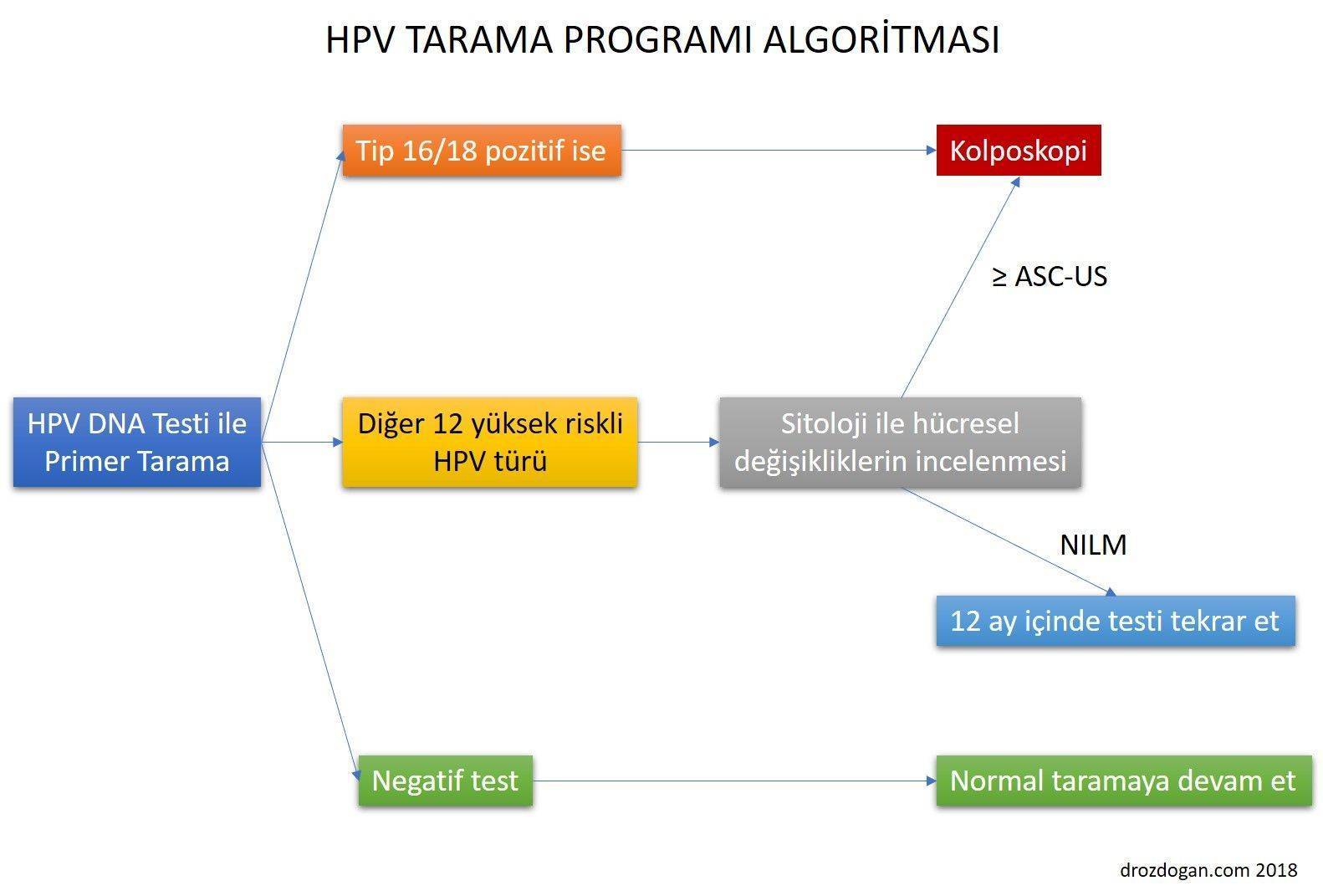hpv dna testi nasıl yorumlanır primer tarama programı algoritması