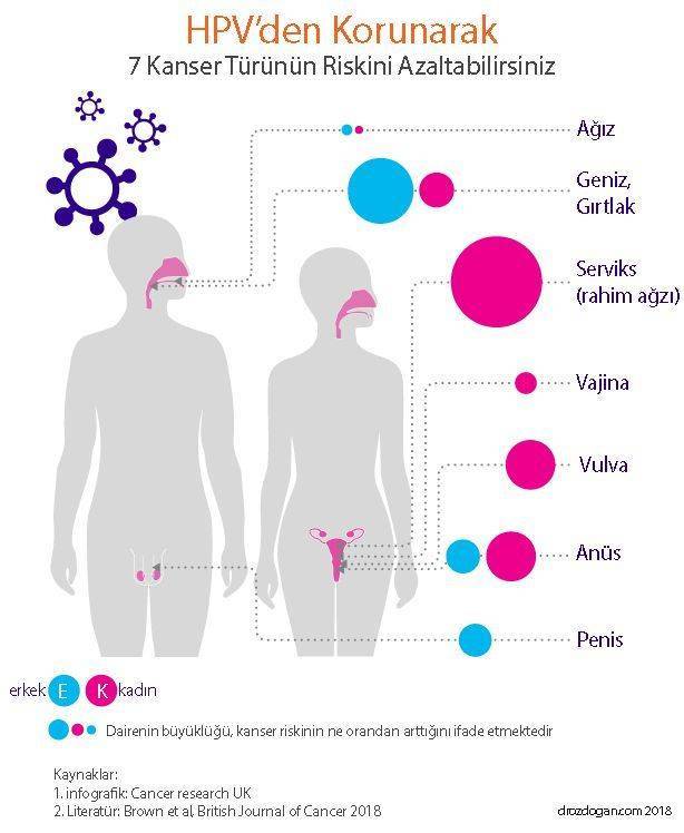 hpv ilişkili kanserler hangi kansere neden olur