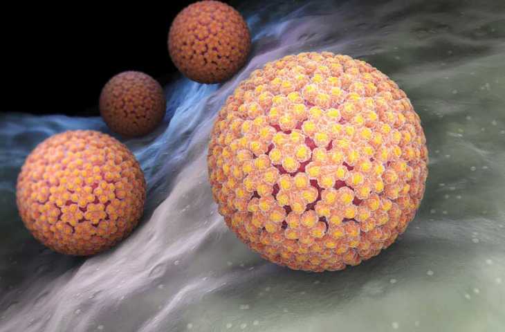 hpv virus treatment natural hpv wart medicine