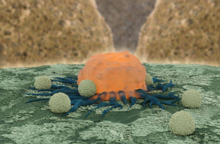 İkinci CAR-T canlı kanser tedavisinin FDA onayı alması heyecan yarattı