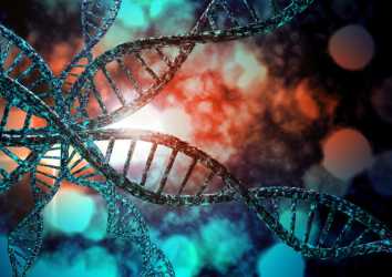 İleri evre kanser tedavisinde yeni bir hedef: DNA tamir mekanizması