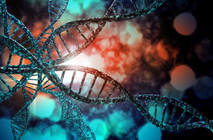 İleri evre kanser tedavisinde yeni bir hedef: DNA tamir mekanizması