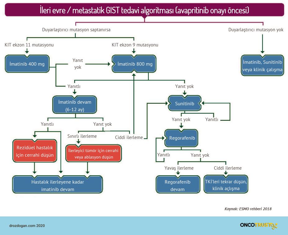 ileri evre metastatik gist tedavi algortismasi